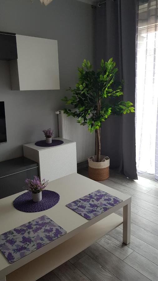 Boznicza Old Town Lux Apartment, Self Check-In 24H, Free Parking Poznan Exterior foto