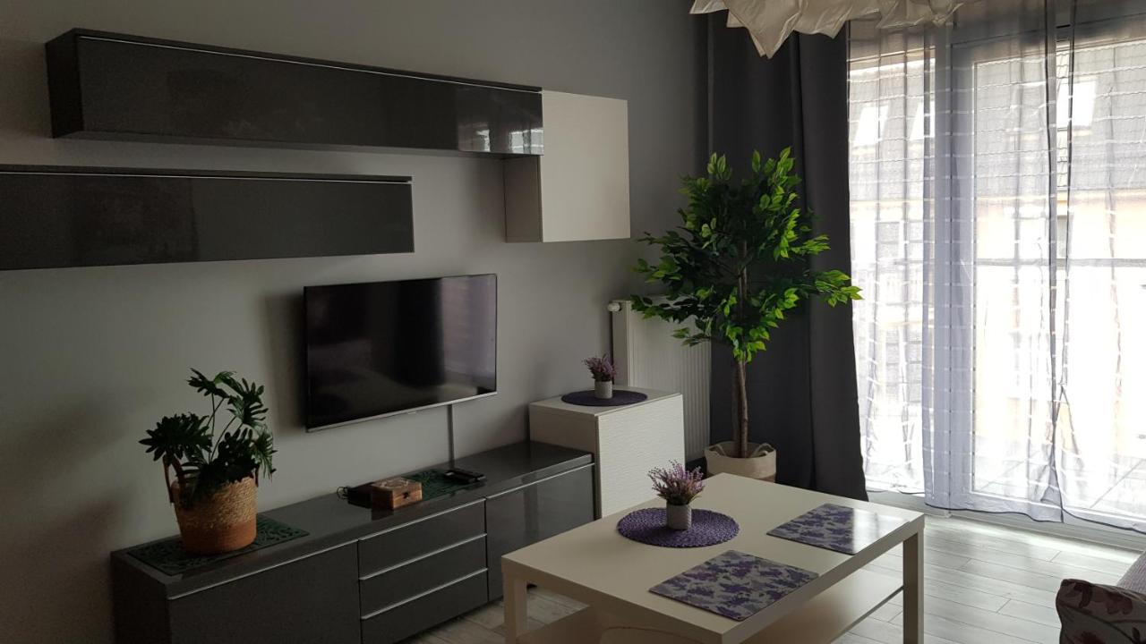 Boznicza Old Town Lux Apartment, Self Check-In 24H, Free Parking Poznan Exterior foto